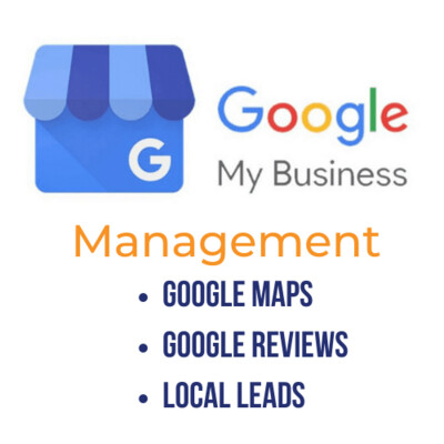 Google My Business Management Program