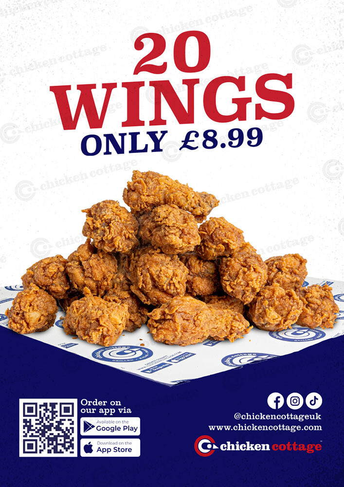 20 Wings Poster