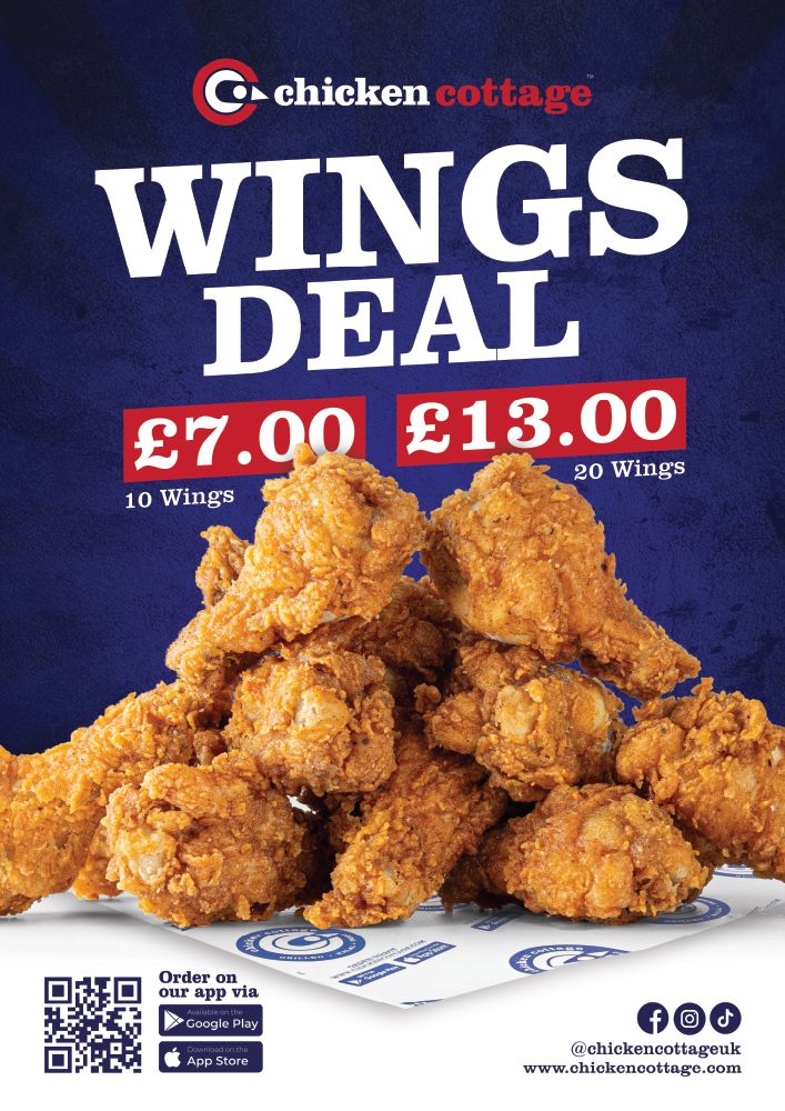 Wings Deal Vinyl Sticker