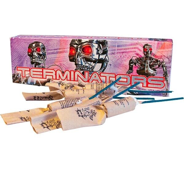 10 TERMINATOR