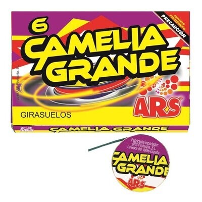 CAMELIA-GIRASOLES GRANDES