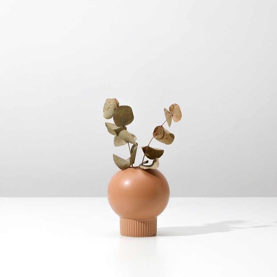 Getrocknete Blume