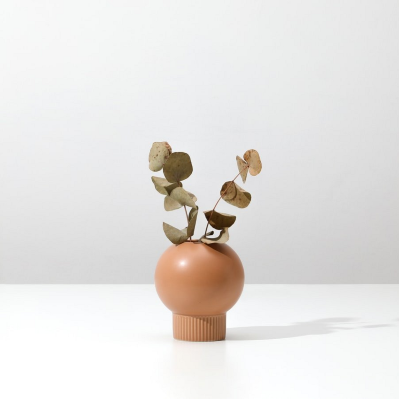 Getrocknete Blume