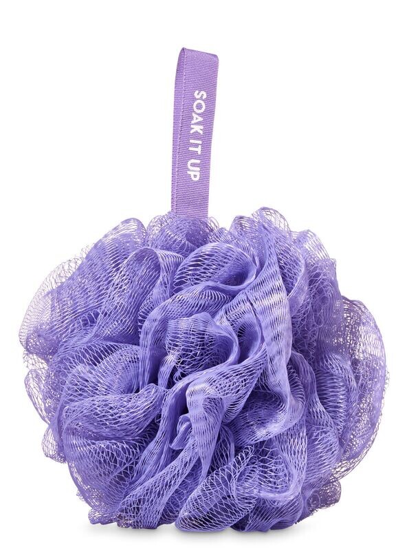  Purple Sponge
