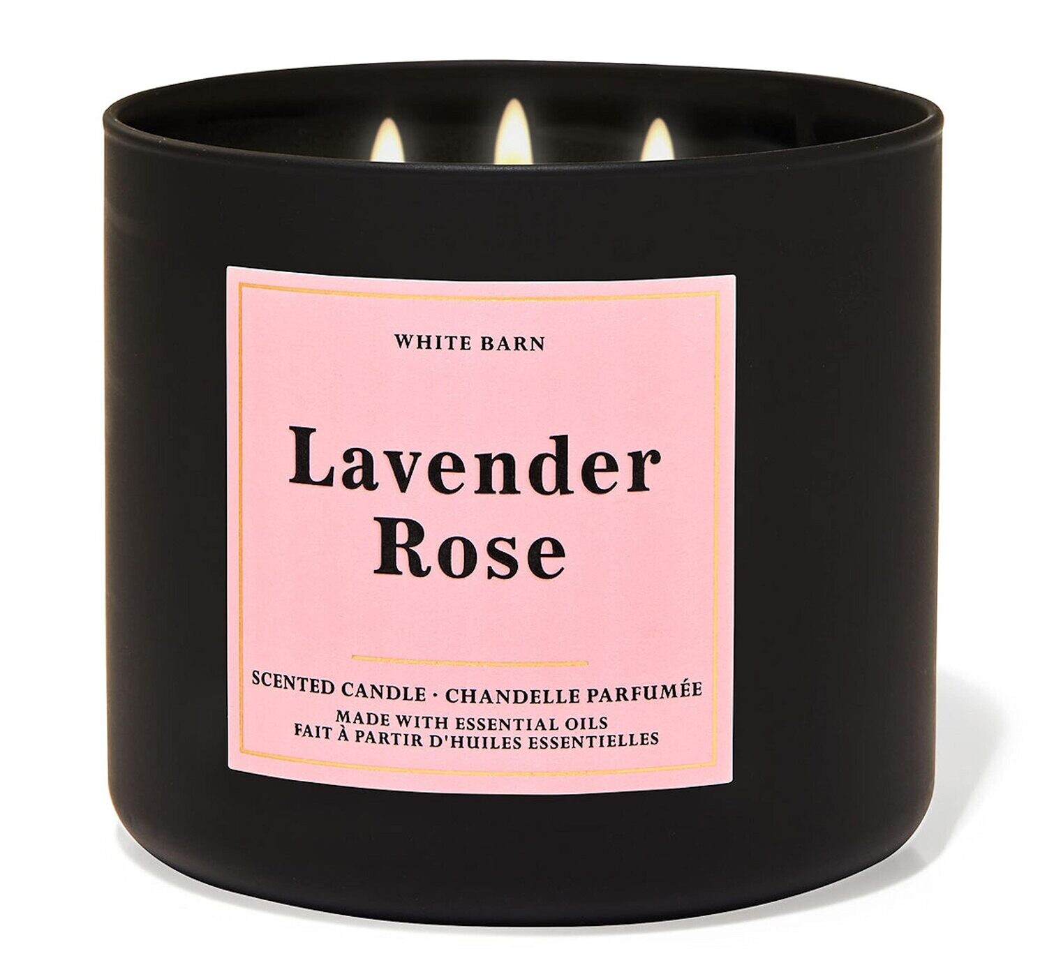 Lavender Rose