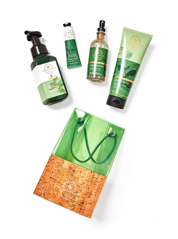 Eucalyptus and spearmint gift bag set ( full size)