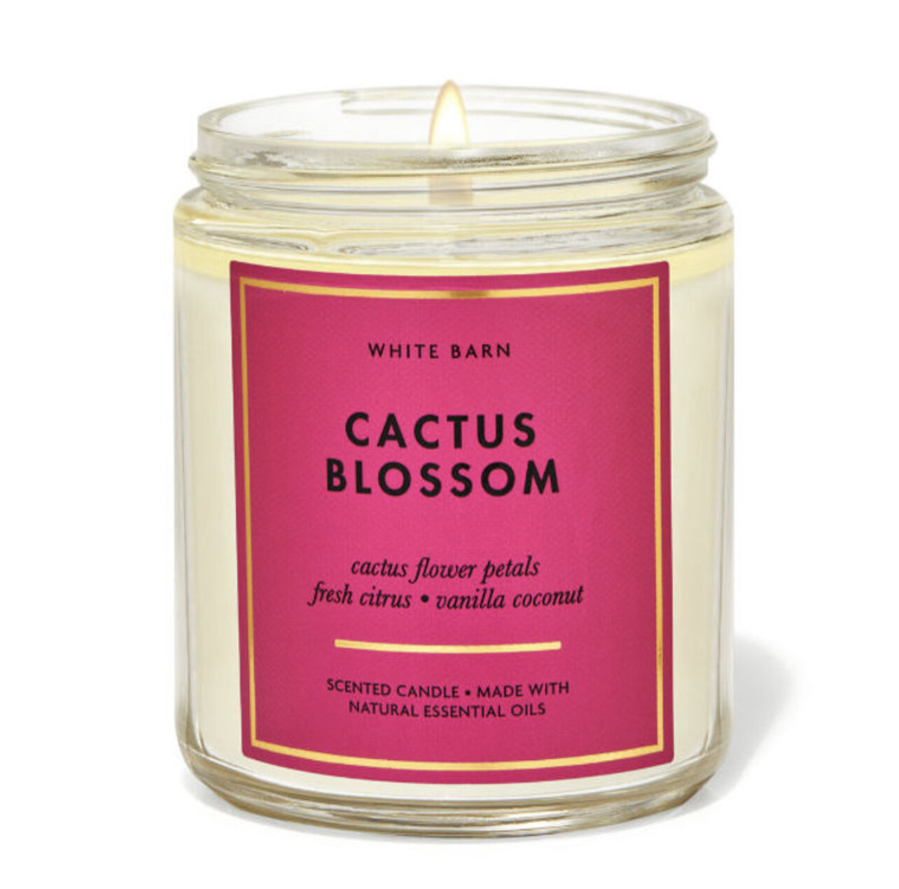cactus blossom