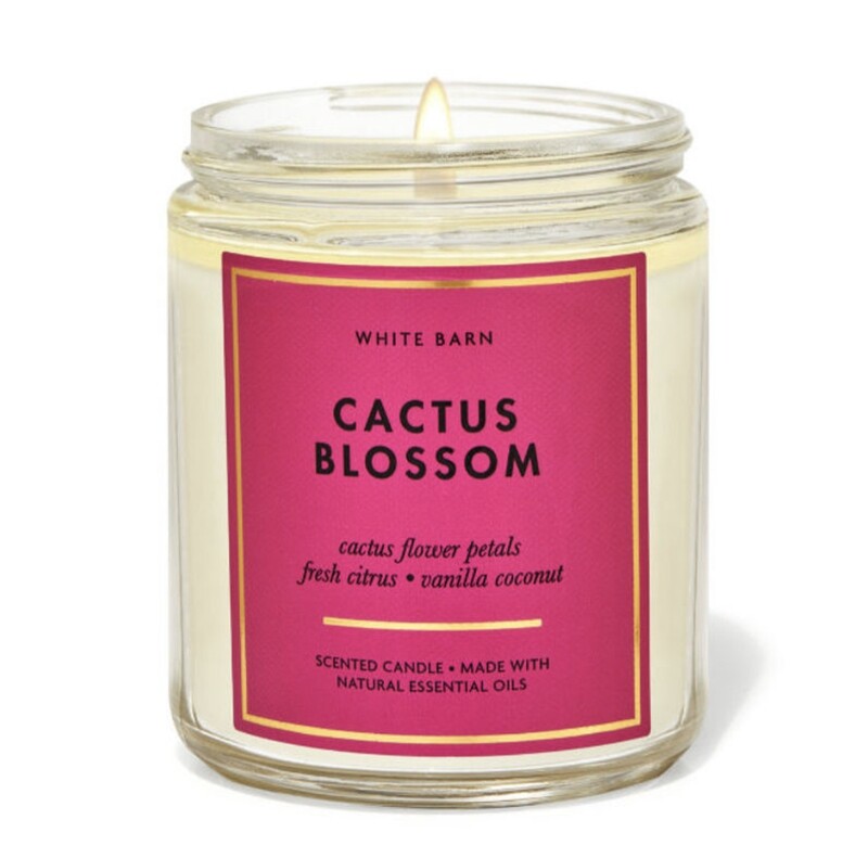 cactus blossom