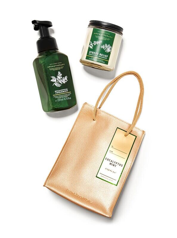 eucalyptus spearmint gift bag (hand soap and candle)