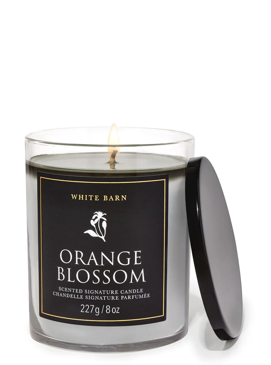 orange blossom
