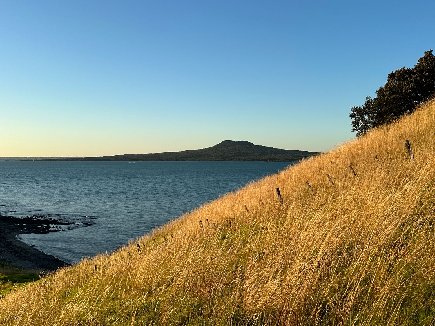Rangitoto from Browns Island