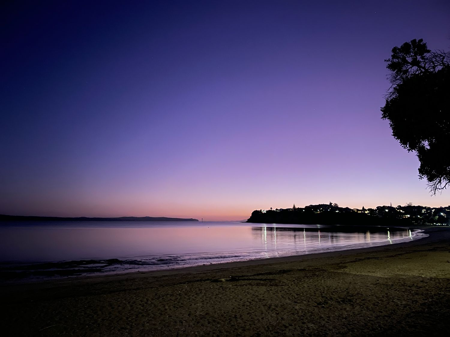 St Heliers Purple Sky