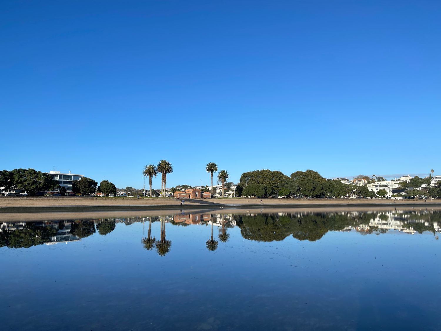 St Heliers Peace and Tranquility