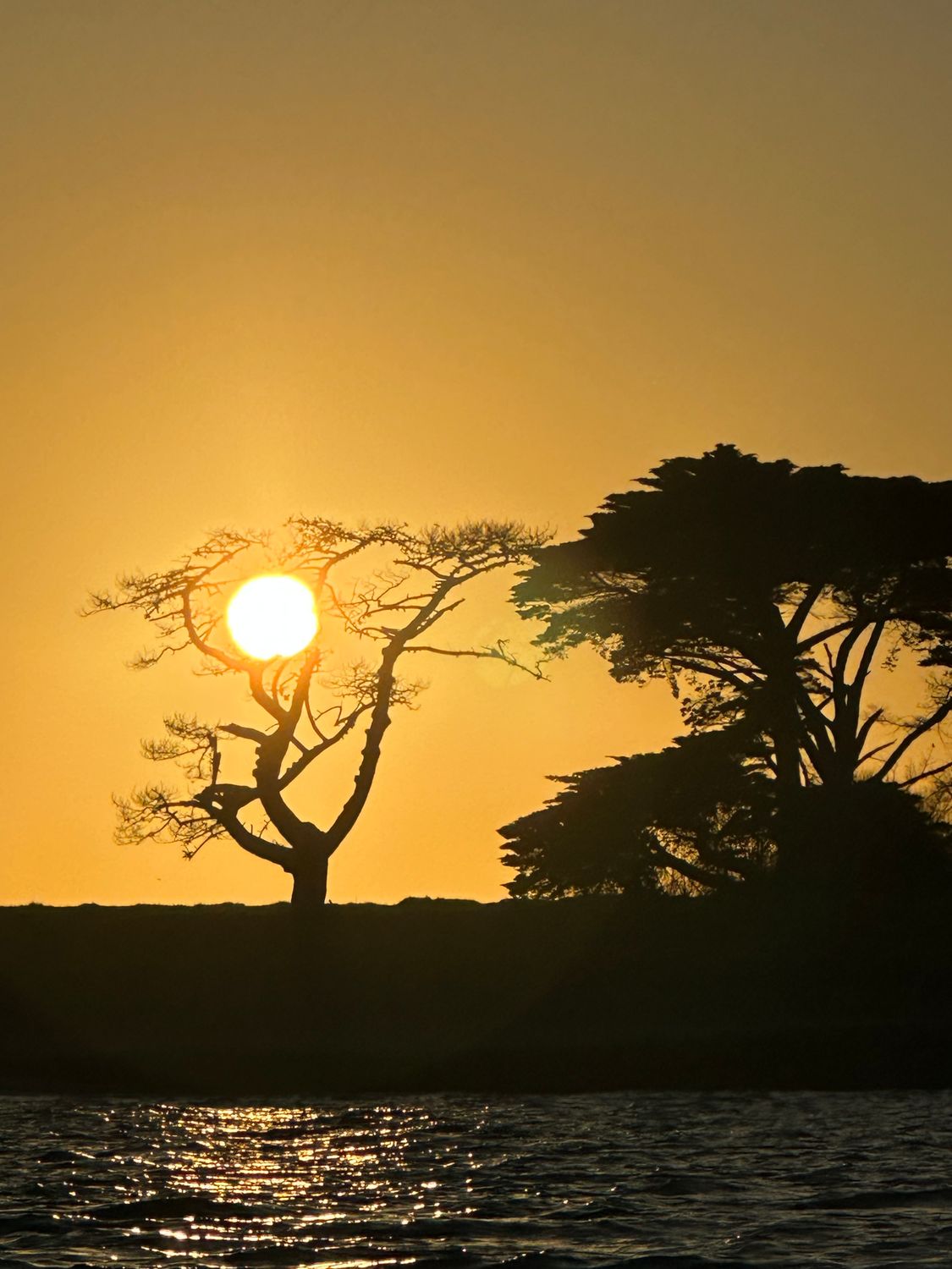 Sunrise on Browns Island