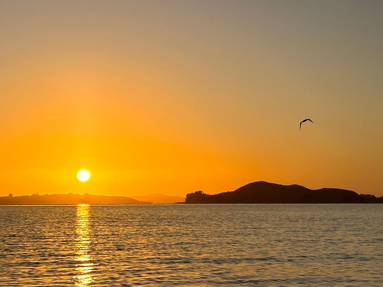 Sunrise on Browns Island