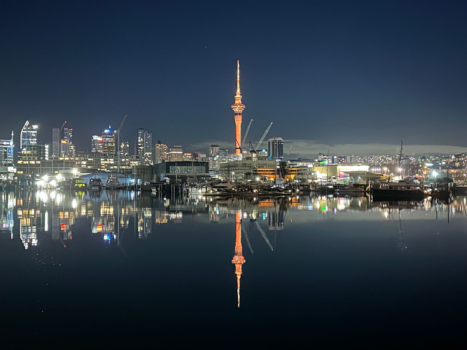 A Perfect Auckland Night