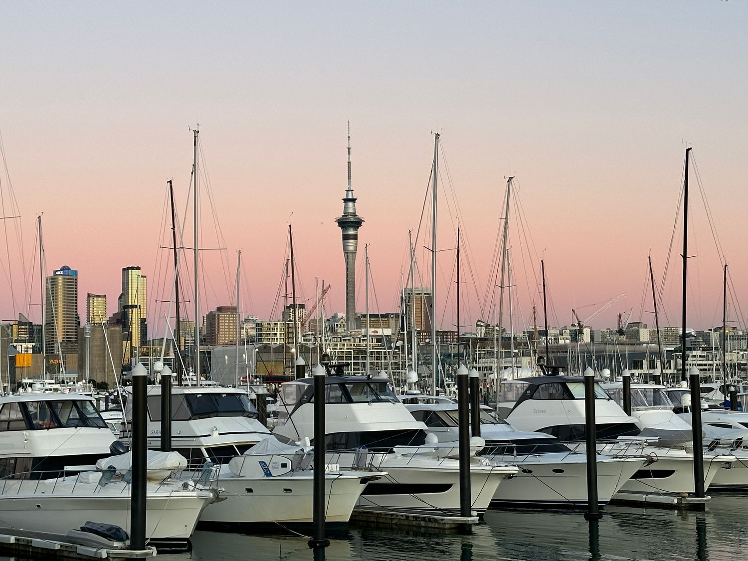 Westhaven Marina 1
