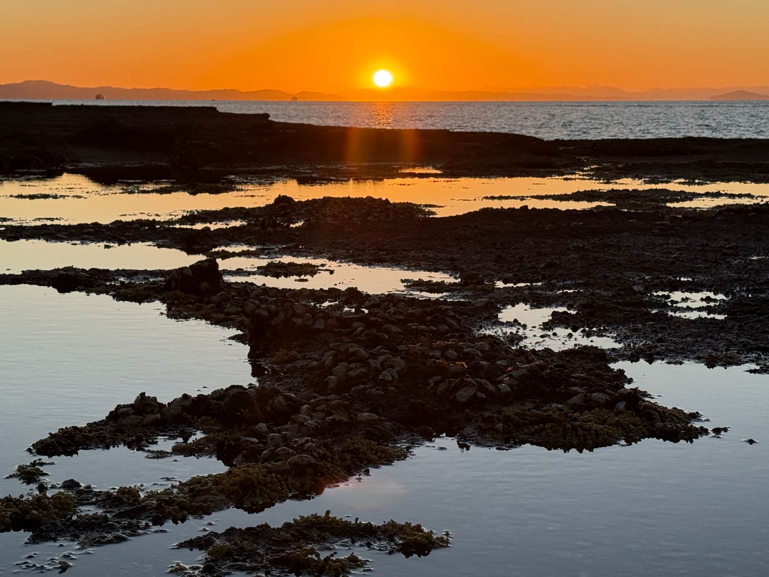 Browns Island Rockpool