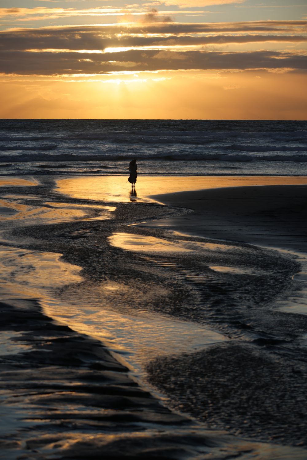 Stranger on the Shore