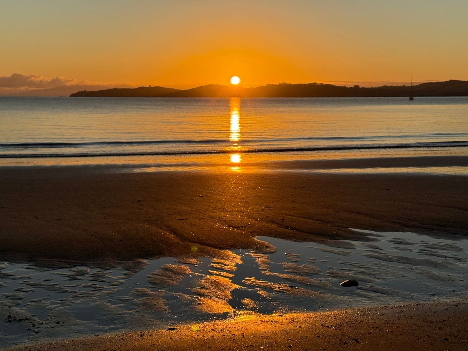 Motuihe Morning