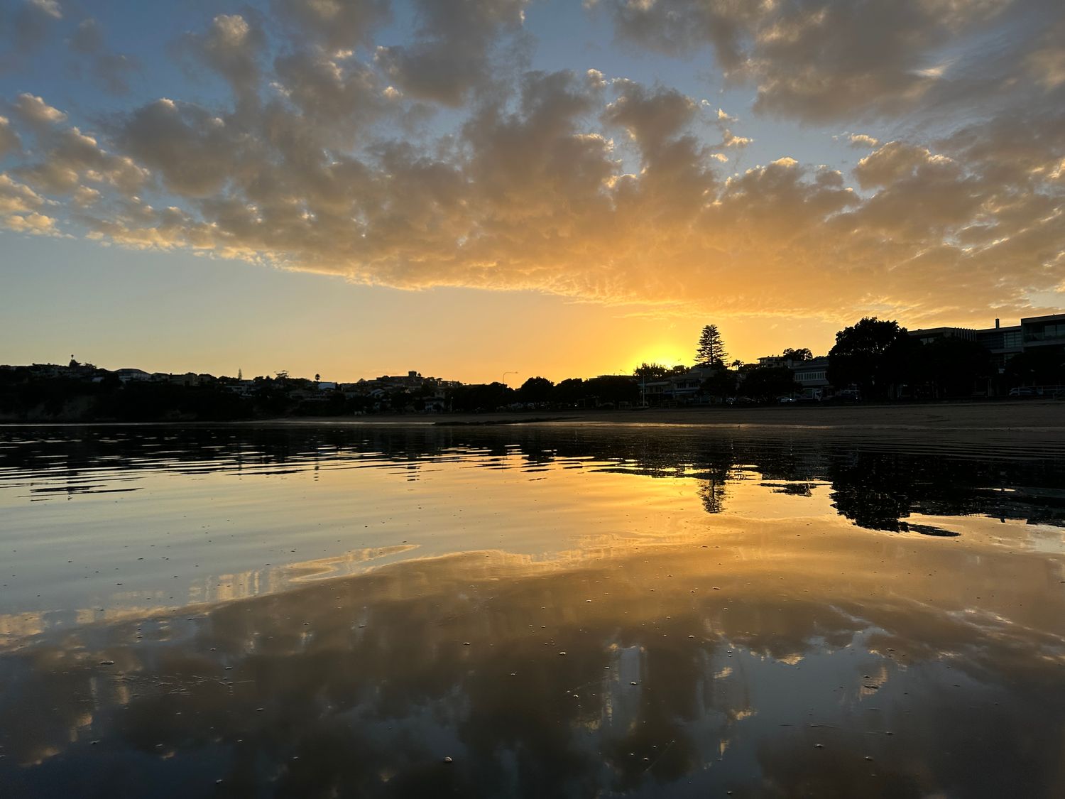 St Heliers Mirror