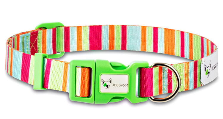 Dog Collar ”Soda” Made from Recycled Plastic Bottles – S/M/L