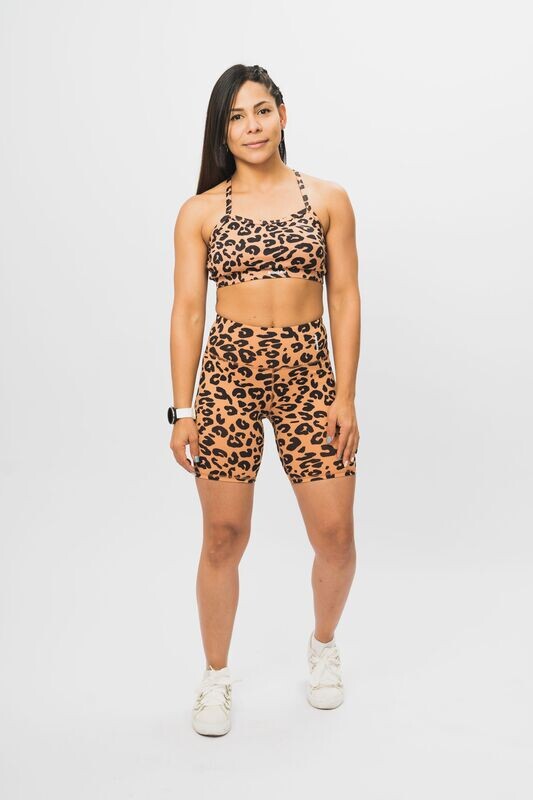 Conjunto Elena