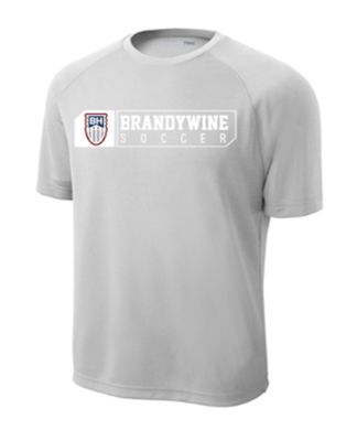 BRANDYWINE SOCCER