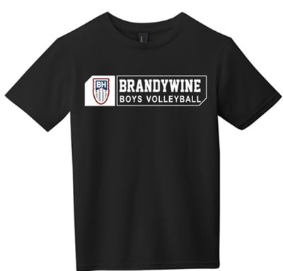 BRANDYWINE BOYS VOLLEYBALL