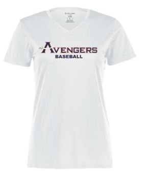 Holloway Ladies VNeck with Full Chest Logo