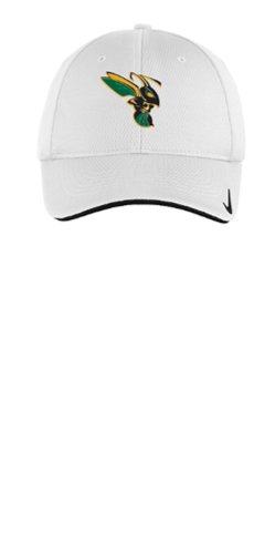 Nike Dri-FIT Stretch Mesh Sandwich Bill Cap with Logo