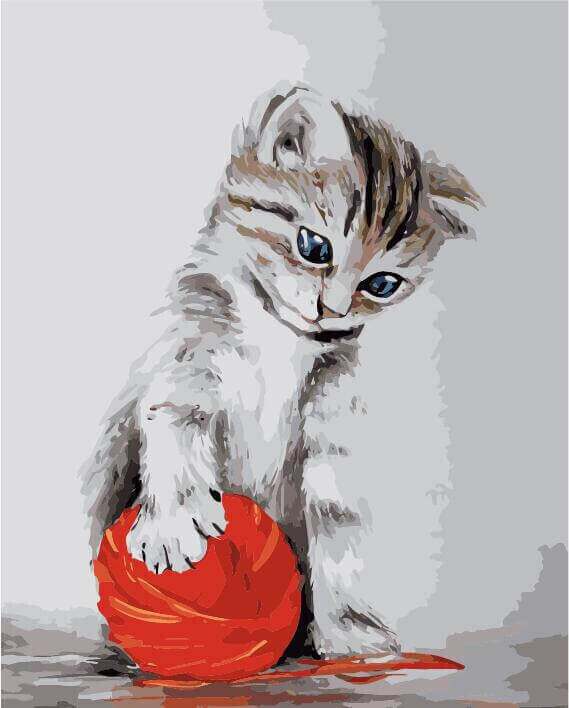 Gorgeous Kitten with Red Wool Ball Premium Paint by Numbers Art Therapy Adult Painting Artist Kit