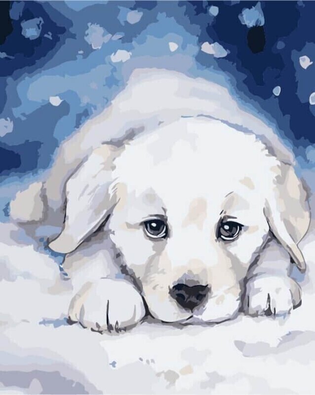 Beautiful Puppy in the Snow Premium Paint by Numbers Art Therapy Adult Painting Artist Set