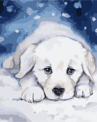 Beautiful Puppy in the Snow Premium Paint by Numbers Art Therapy Adult Painting Artist Set