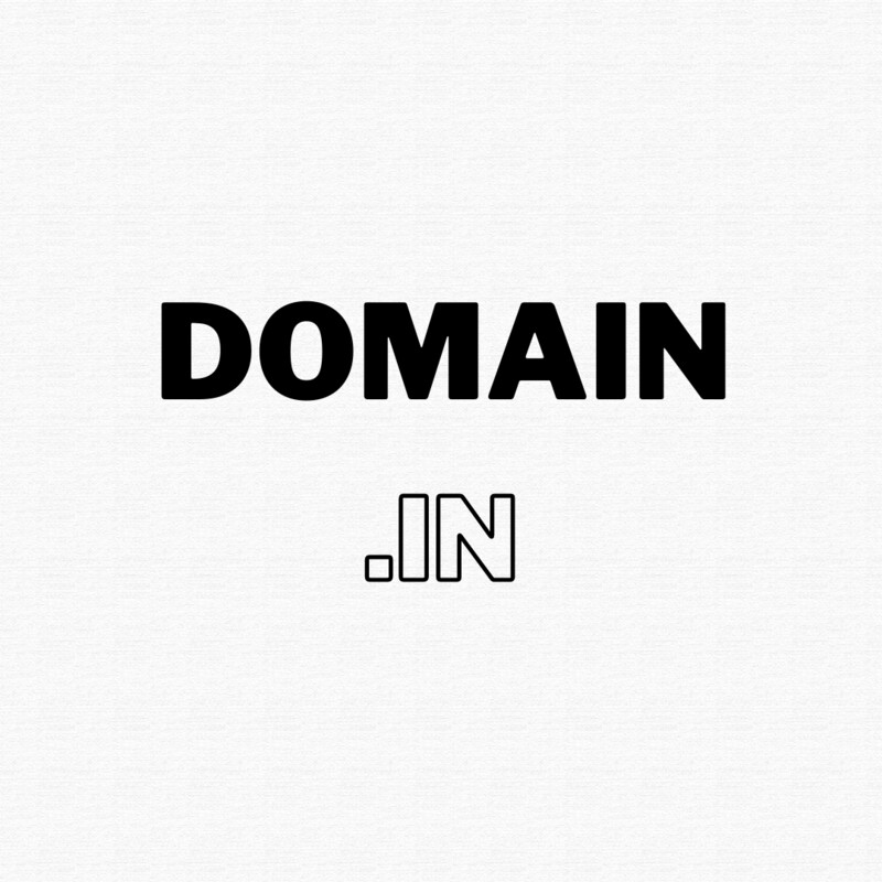 .IN Domain Name Registration / Renewal / Transfer Service
