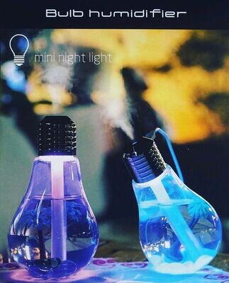 Bulb humidifier