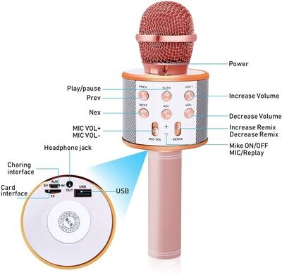 Microfono Karaoke LOL