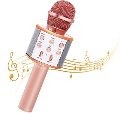 Microfono Karaoke LOL
