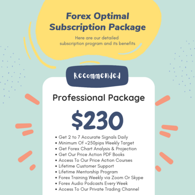 Professional Package (14-Months Subscription )