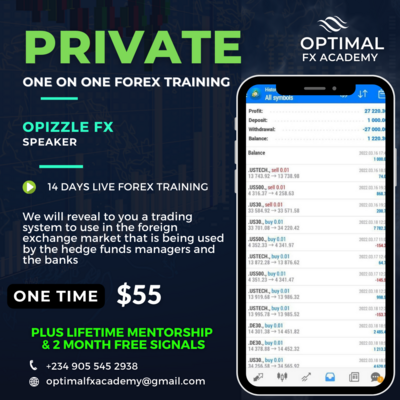 Private Online Forex Training ( 2 Weeks )
