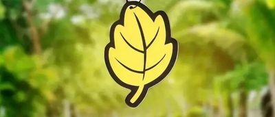 Car Air Fresheners £1.20