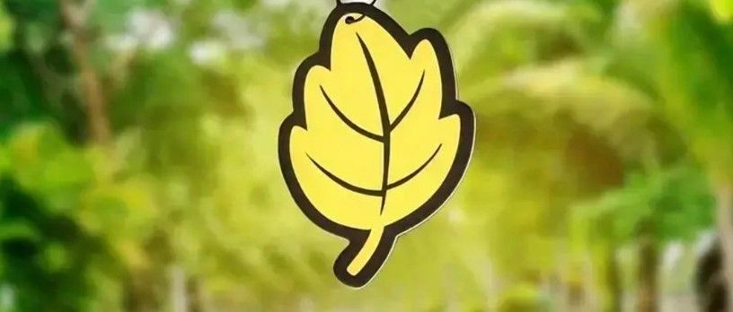 Car Air Fresheners £1.00