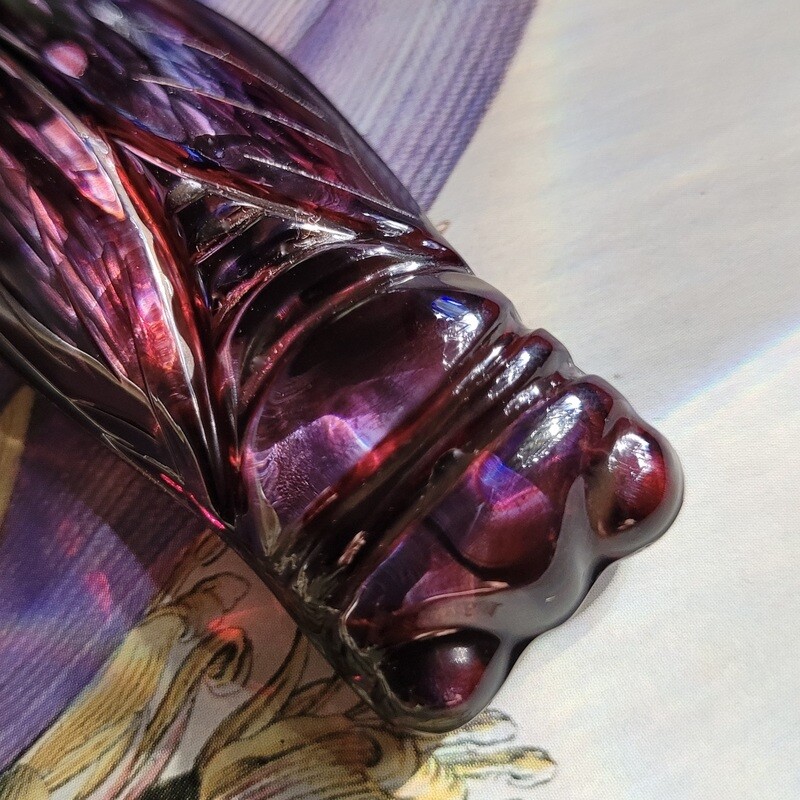 Cicadas