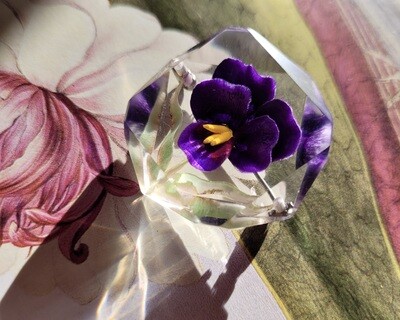 Perfection in the Sweetness of a Pansy