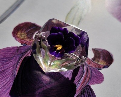 Perfection in the Sweetness of a Pansy