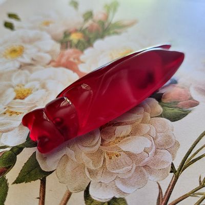 Cherry Jelly