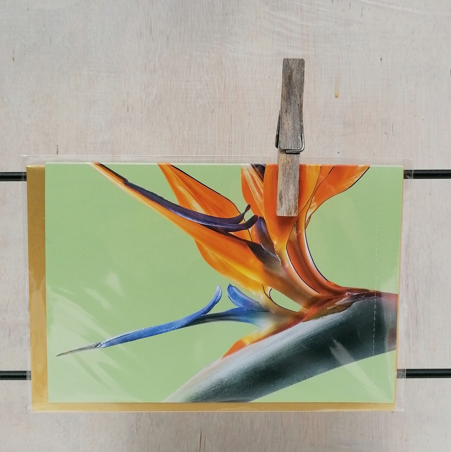 Grußkarte "Strelitzie"