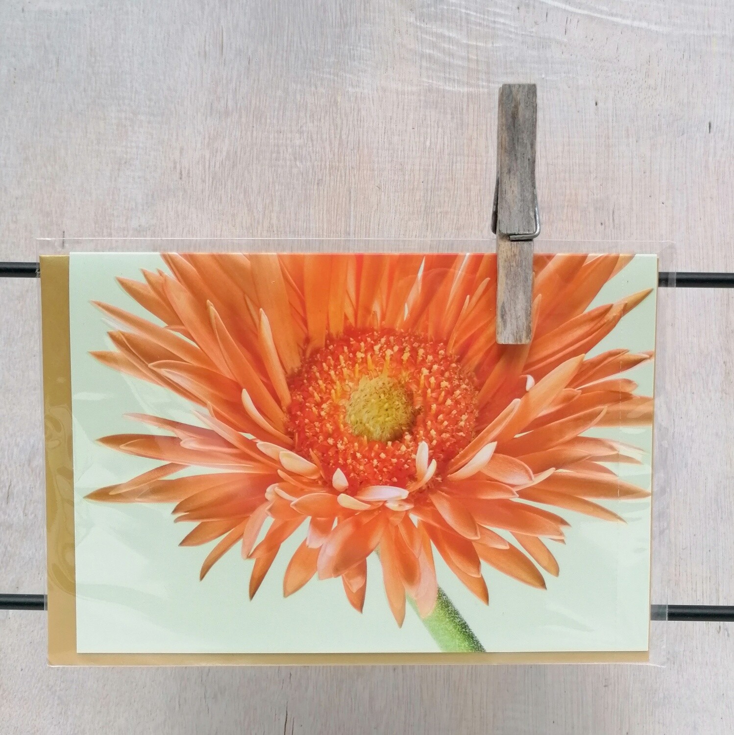 Grußkarte "Gerbera"