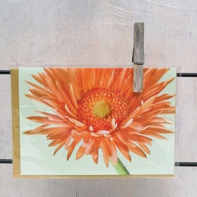 Grußkarte "Gerbera"