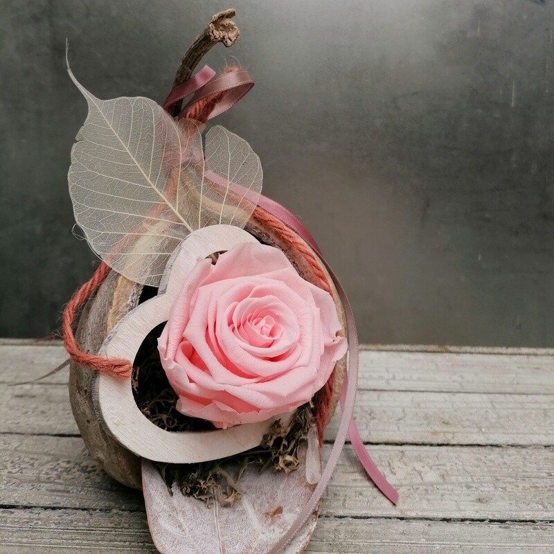 gefüllte Buddhanuss mit Rose